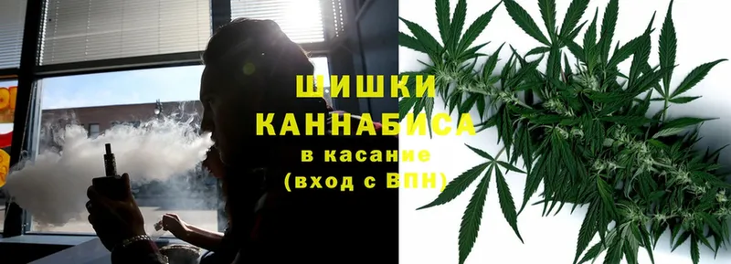 МЕГА онион  Пудож  Бошки Шишки THC 21% 